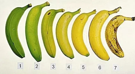 gas-for-ripening-bananas.jpg